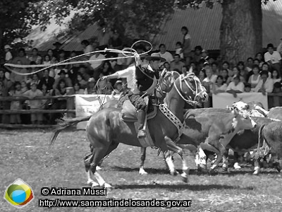 Foto Rural de Junín de los Andes (Adriana Mussi)