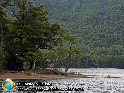 Foto Lago Epulafquen (Santiago Gaudio)