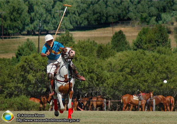 Foto Polo (Adriana Mussi)