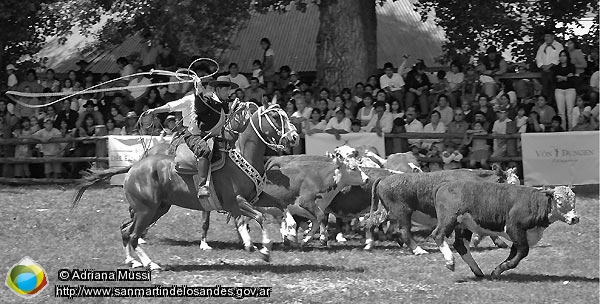 Foto Rural de Junín de los Andes (Adriana Mussi)