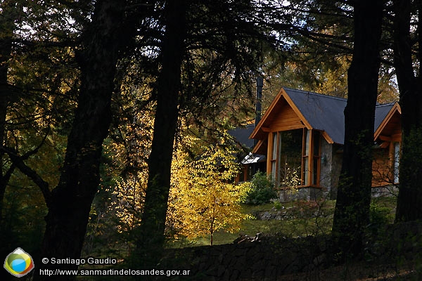 Foto Arquitectura y bosque (Santiago Gaudio)