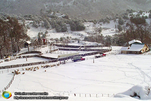 Foto Campito nevado  (Guillermo Hermosilla)