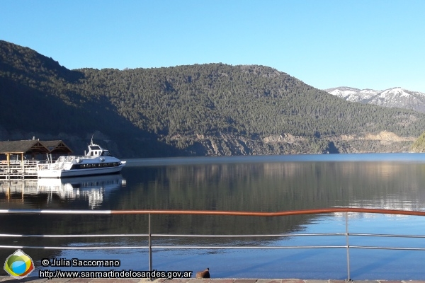 Foto Agosto en costanera Lago Lacar ()