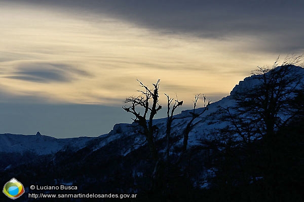 Foto Cielo Patagónico (Luciano Busca)