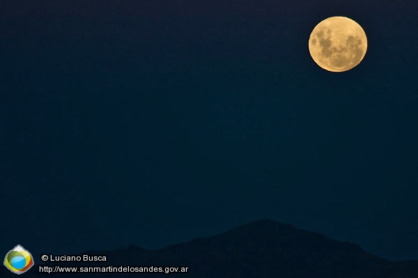 Foto Luna de verano (Luciano Busca)