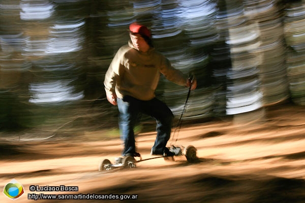 Foto Por el bosque (Luciano Busca)