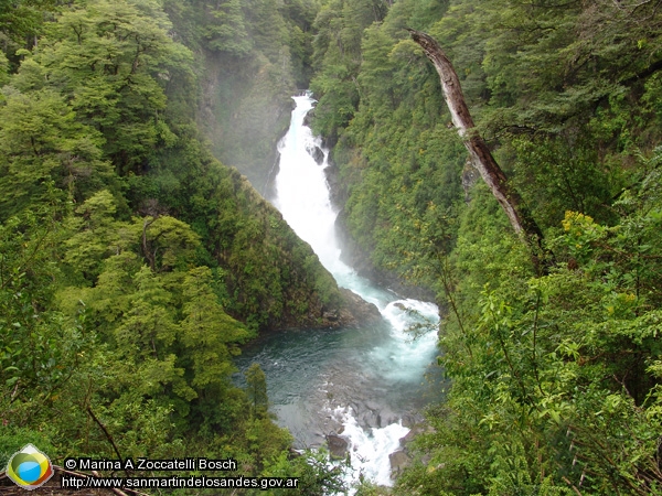 Foto Saltos de agua (Marina A Zoccatelli Bosch)