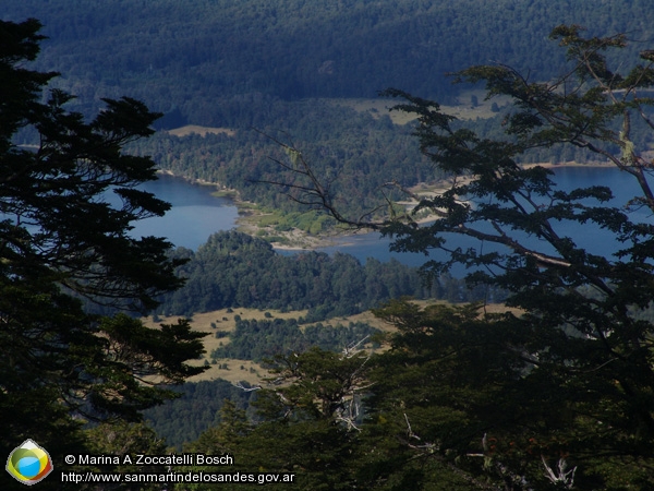 Foto Angostura (Marina A Zoccatelli Bosch)