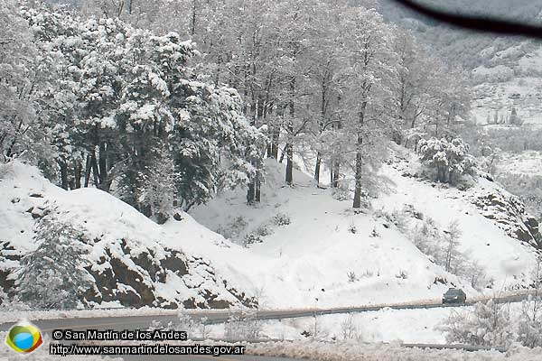 Foto Ruta a Chapelco (San Martín de los Andes)