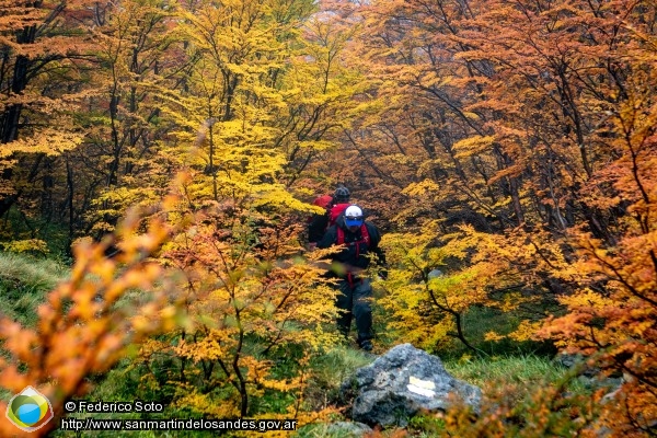 Foto Otoño #trekking Cerro Acol (Federico Soto)