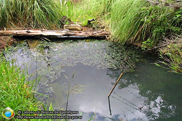Foto Pozón de agua termal (Lahuen-co,Termas de Epulafquen)