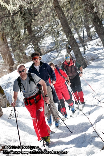 Foto Paseo por bosque de lengas (Patricio Rodriguez)