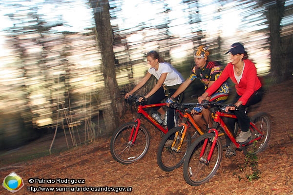Foto Mountain bike por el bosque (Patricio Rodriguez)