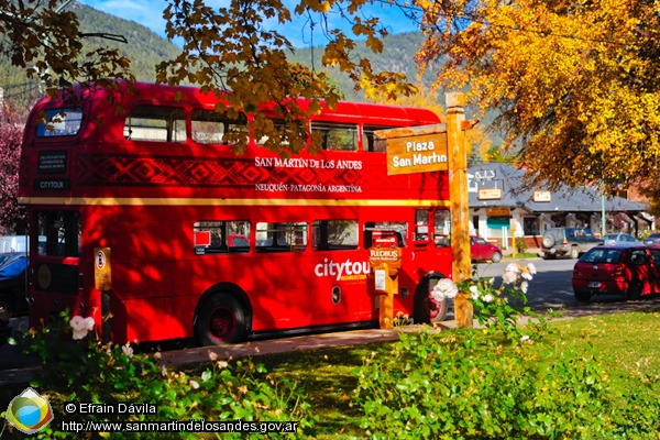 Foto Red Bus (Efrain Dávila)