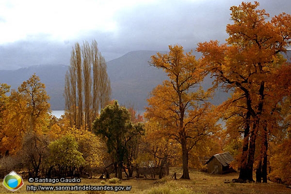 Foto Paraje mapuche (Santiago Gaudio)