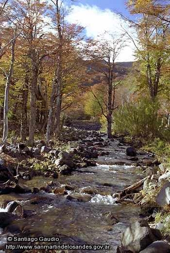 Foto Arroyo otoñal (Santiago Gaudio)