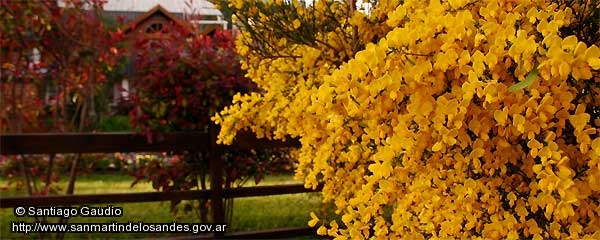 Foto Llegó la primavera (Santiago Gaudio)