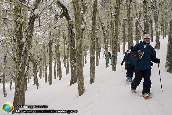 Foto Raquetas por la nieve (Santiago Gaudio)