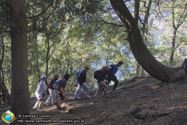 Foto Caminata por el bosque (Santiago Gaudio)