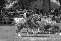 Foto Rural de Junín de los Andes (Adriana Mussi)