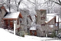 Foto Paihuen Nevado (San Martín de los Andes)