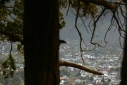 Foto Pasarelas del mirador Arrayán (Santiago Gaudio)