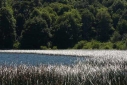 Foto Lago Curruhué Chico (Santiago Gaudio)