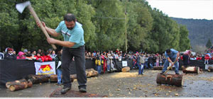Fiesta Nacional el montañes Fiesta Nacional el montañes