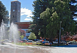 Institucional Institucional