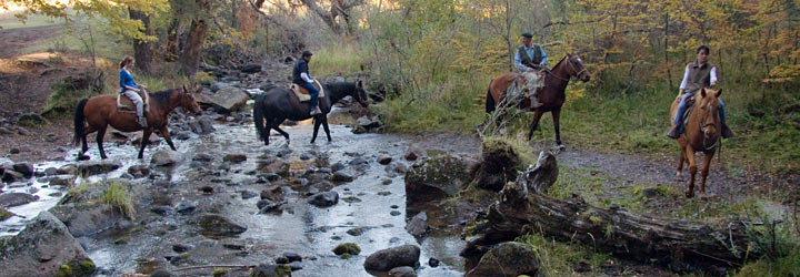 Alquileres de Caballos - Santiago Gaudio