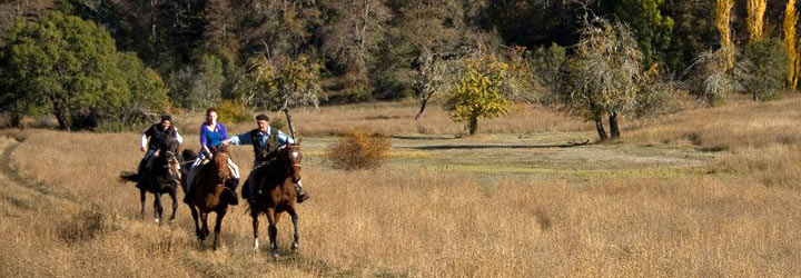 Recomendaciones para cabalgatas - Santiago Gaudio Recomendaciones para cabalgatas - Santiago Gaudio