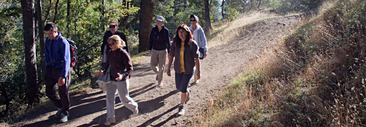 Caminatas - Patricia Friedrich