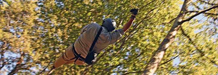 Características de canopy - Santiago Gaudio Características de canopy - Santiago Gaudio