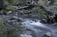 Foto Arroyo de montaña (César Cassina)