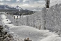 Foto Campo nevado (César Cassina)