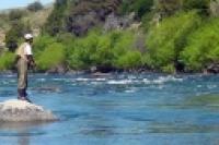 Foto Pesca en el río Chimehuín (Pablo Etchevers)