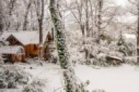 Foto Casa en el bosque (Efrain Dávila)