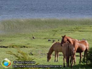 Foto Laguna Rosales ()