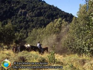 Foto Excursión a caballo (San Martín de los Andes)