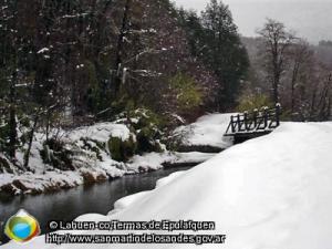 Foto Camino invernal (Lahuen-co,Termas de Epulafquen)