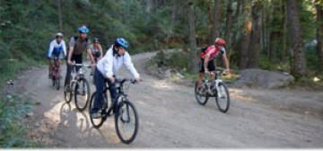 Bicicleta de Montaña