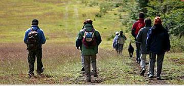 Hiking Hiking