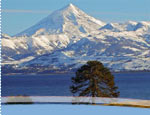 Lanín National Park