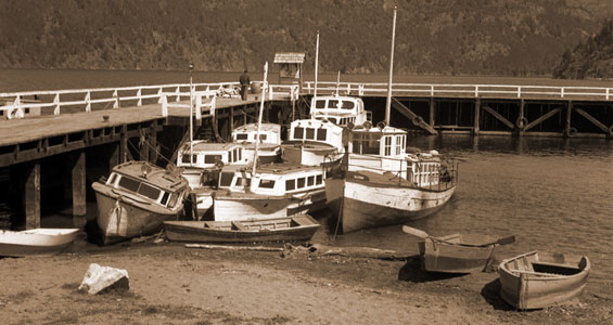 Muelle Lago Lácar