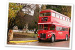Red-bus Preguntas Frecuentes