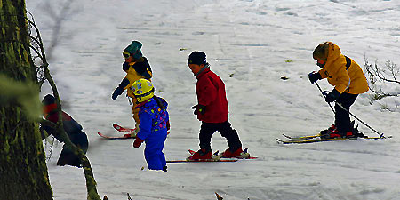 Jardín de nieve Jardín de nieve