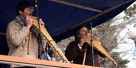 Shows en vivo Shows en vivo