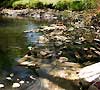 Arroyo contaminado Arroyo contaminado